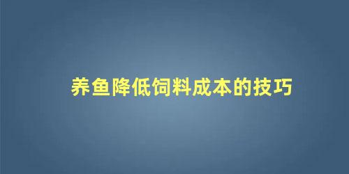 养鱼降低饲料成本的技巧有哪些(养鱼降低饲料成本的技巧和方法)